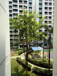 Blk 509B Wellington View (Sembawang), HDB 4 Rooms #613819441